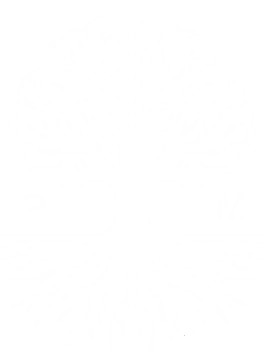 PM Desenvolvimento Pessoal Integral