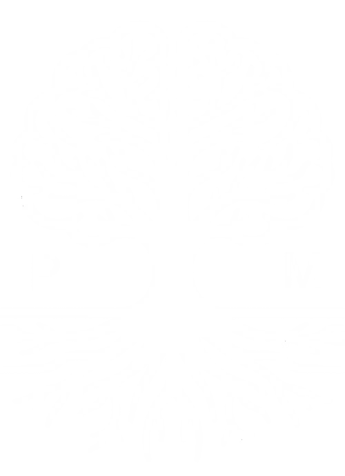 Comunidade Superação